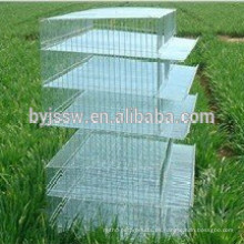 Layer Quail Battery Cage (fábrica profesional)
